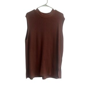 Express Sweater Vest in Warm Brown